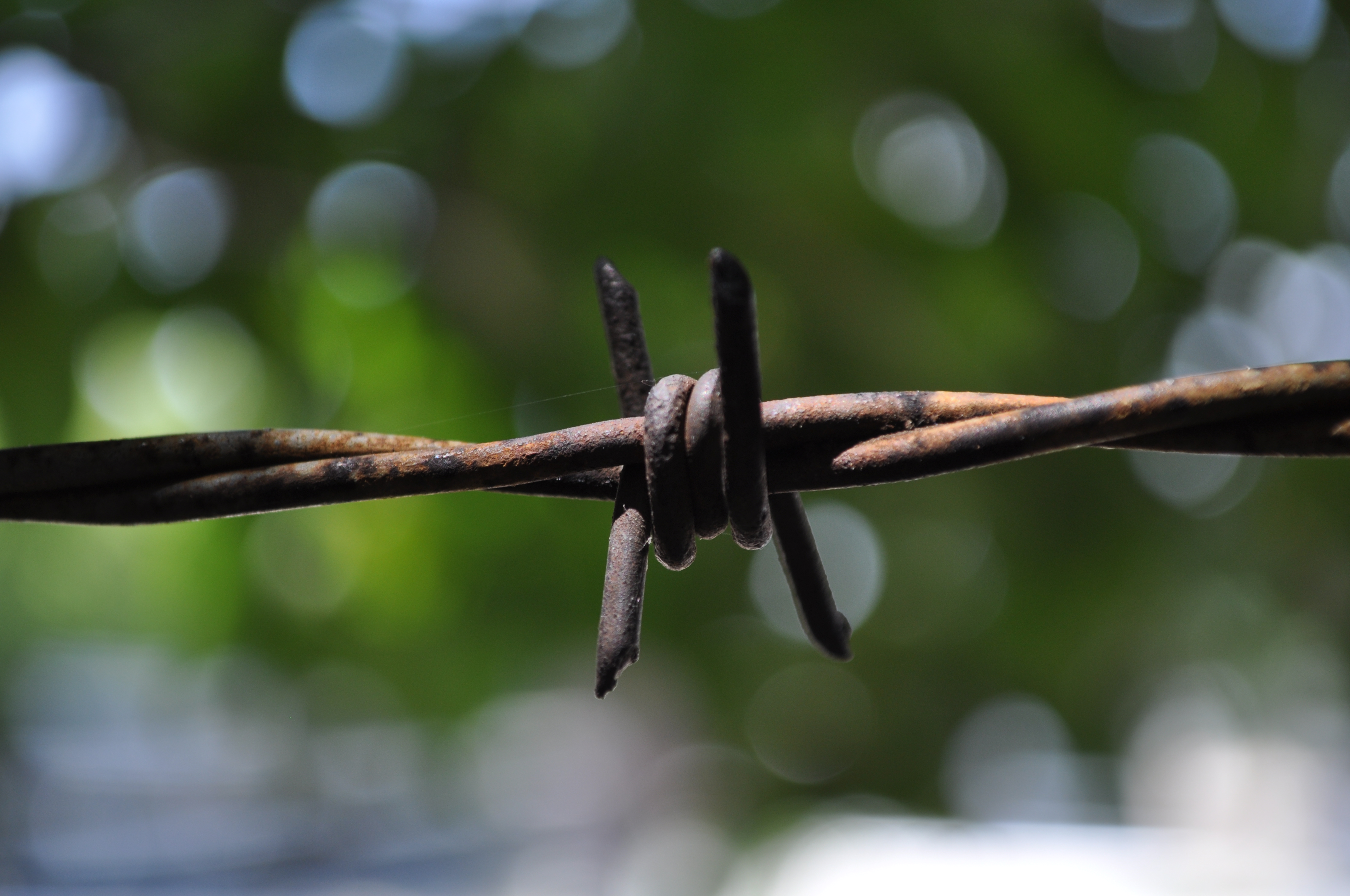 kapak fotoÄŸrafÄ±_30214