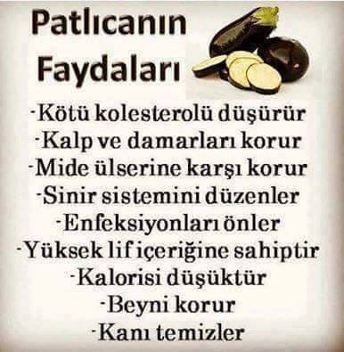 patlıcan-13388