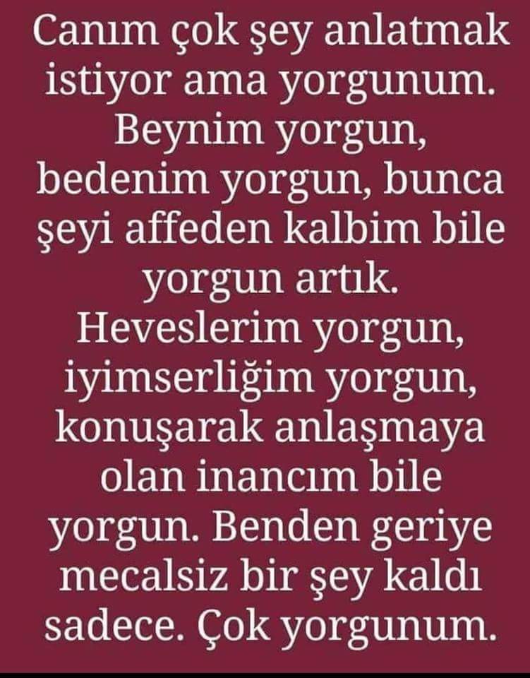 gÃ¼nÃ¼n sÃ¶zÃ¼_24074
