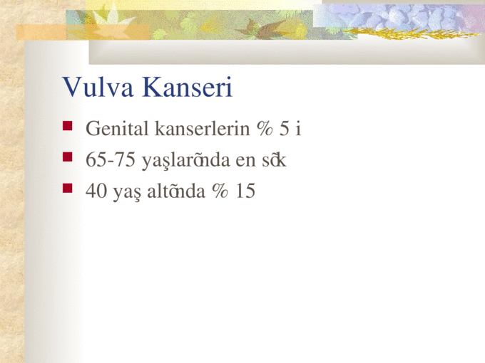 vulva kanseri-20059