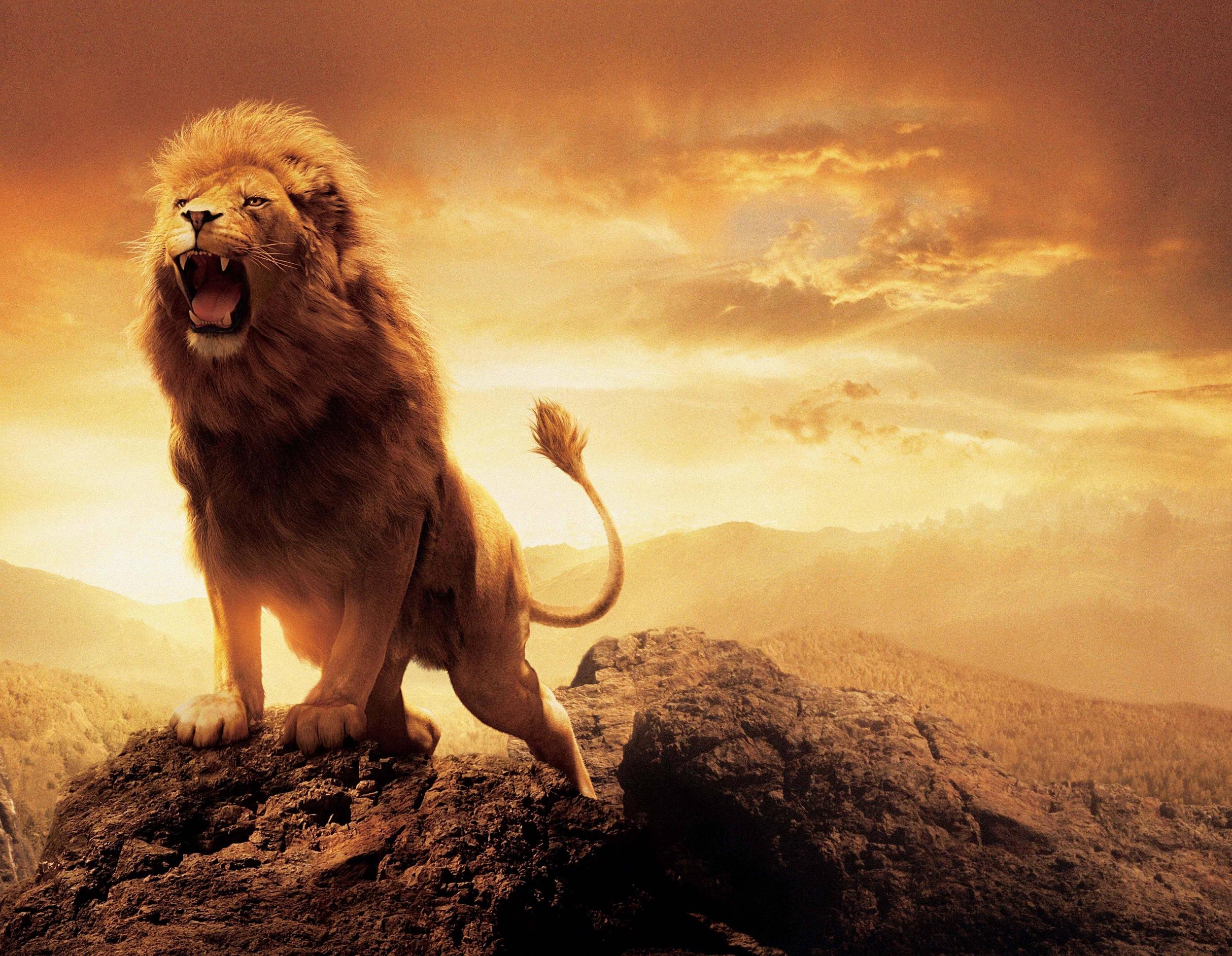 aslan-15093