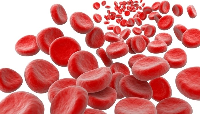 hemogram-25883
