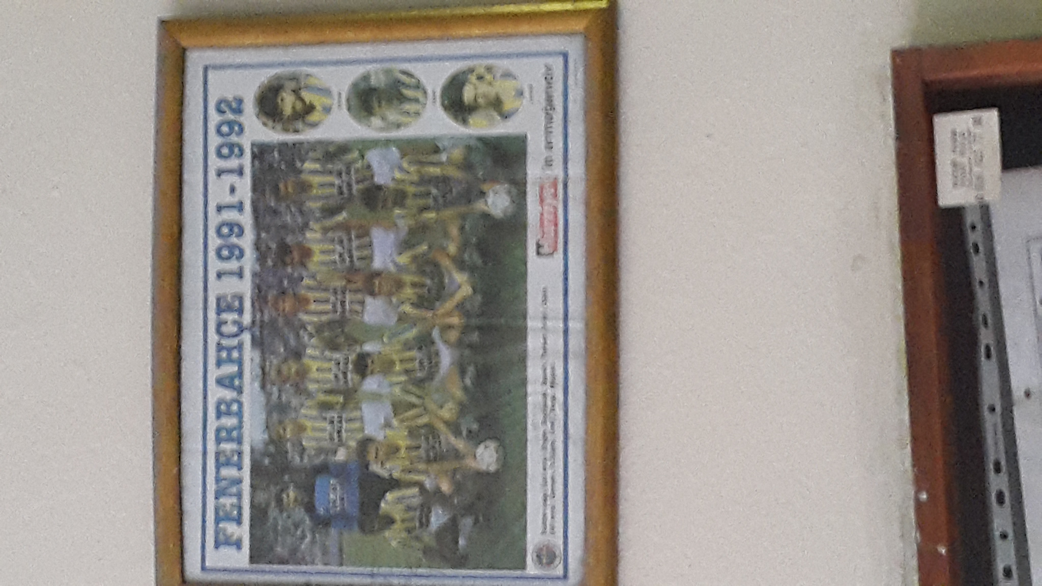 fenerbahçe spor kulübü-8931