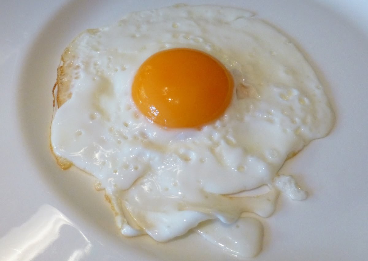 sunny egg.