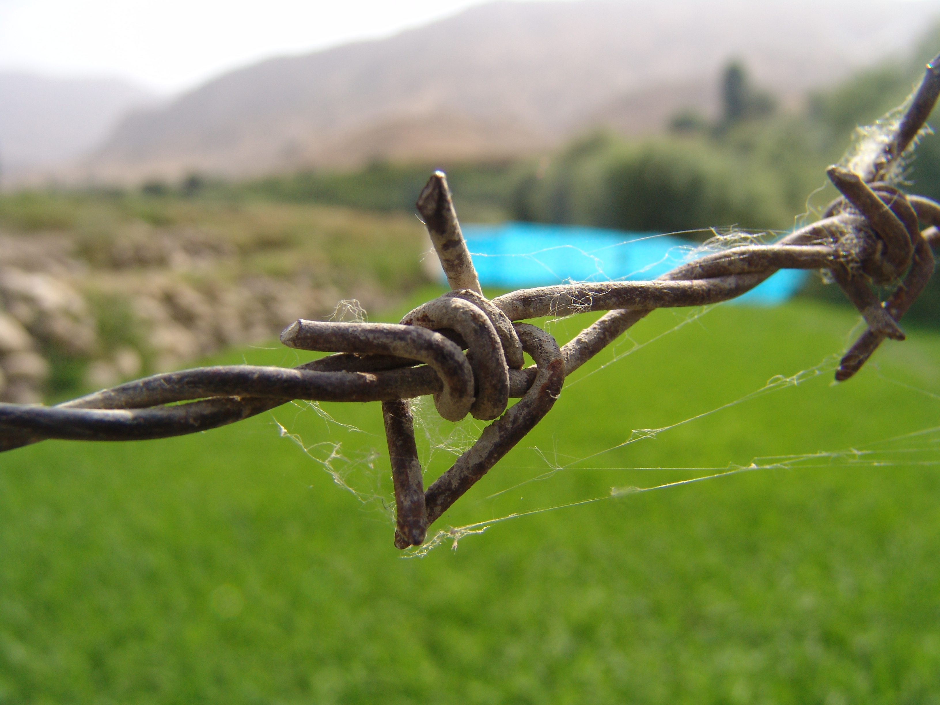 kapak fotoÄŸrafÄ±_30219