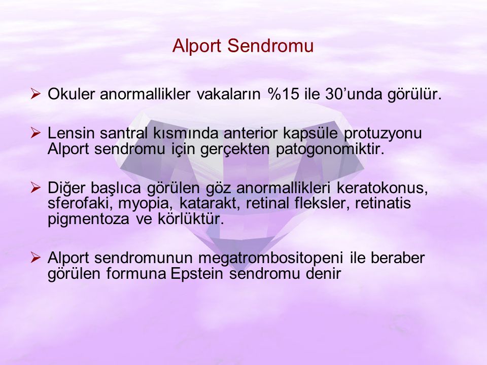 alport sendromu-13785