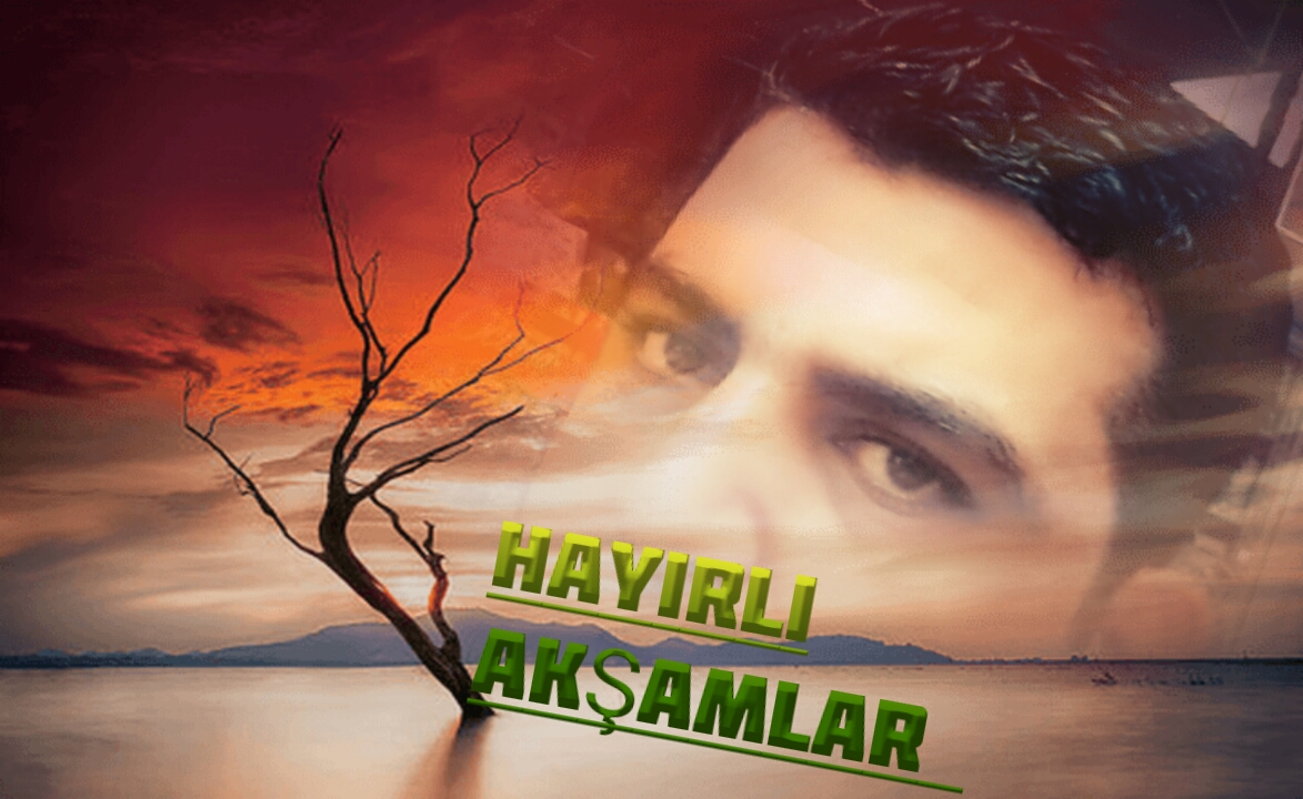 aydın-20352