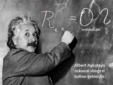 albert einstein_9132