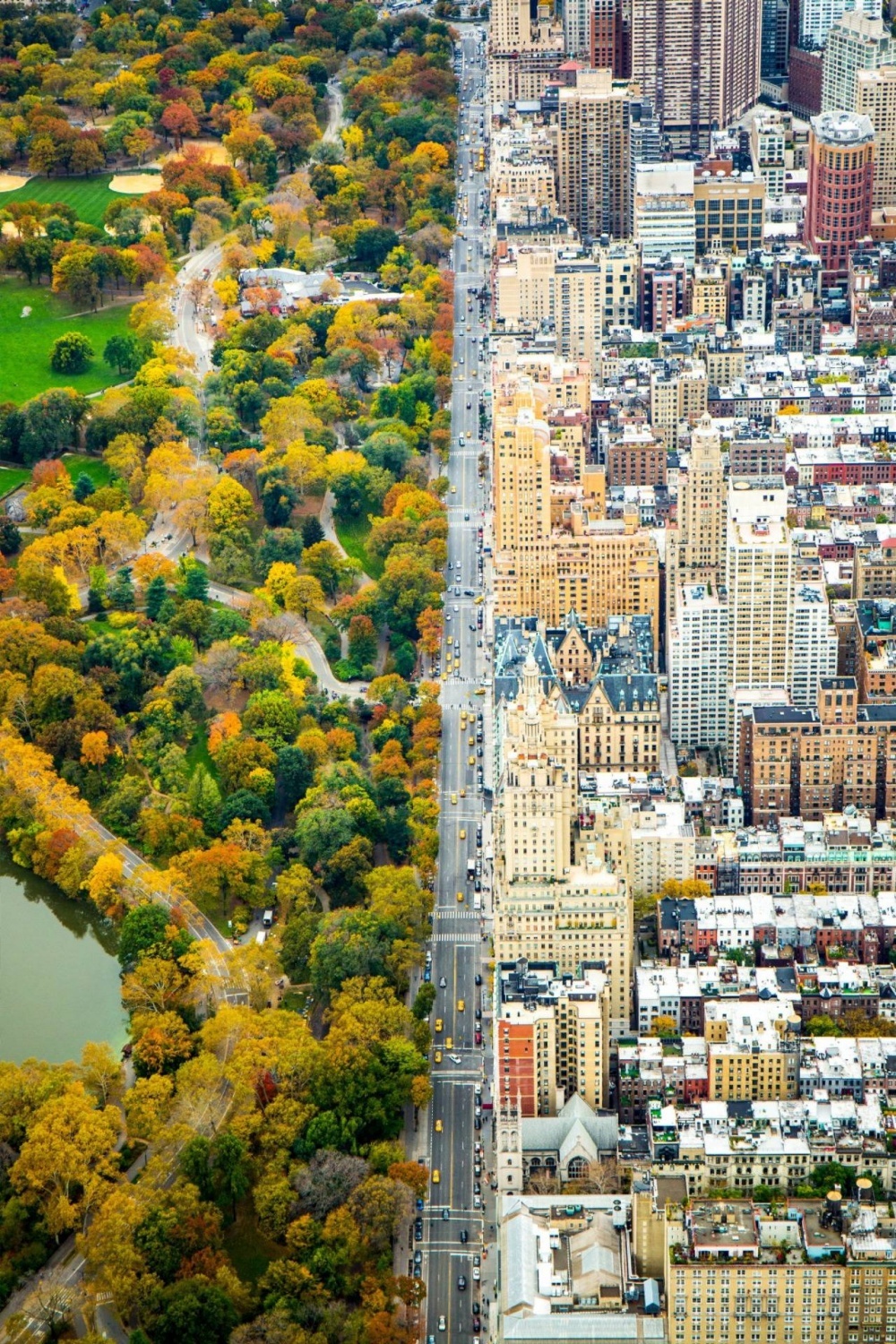 new york-7094