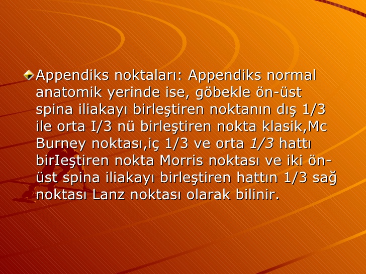 lanz noktası-26133